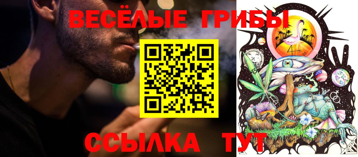 Галлюциногенные грибы прущие грибы Усть-Джегута