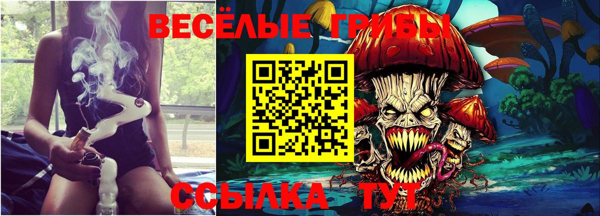 Усть-Джегута  Галлюциногенные грибы прущие грибы  Вход с VPN 